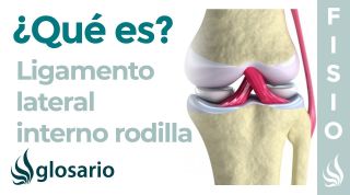 Ligamento LATERAL INTERNO de la RODILLA | Qué es, ubicación, función y lesiones