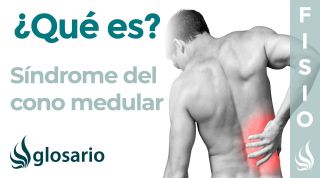 SÍNDROME del CONO MEDULAR | Qué es, síntomas, signos clínicos, causas y tratamiento fisioterapéutico