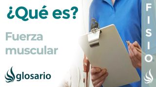 FUERZA MUSCULAR | Qué es, cómo se entrena e importancia para el sistema musculoesquelético