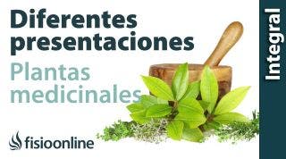 Diferentes presentaciones de las plantas medicinales.