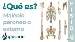 MALÉOLO PERONEO | Qué es, significado, ubicación, función y lesiones