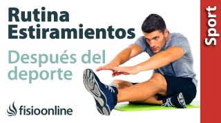 6 Estiramientos para hacer después del deporte o actividad física.