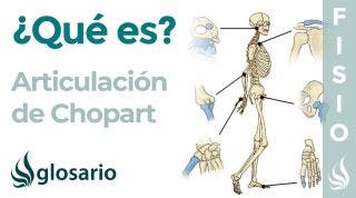 ARTICULACIÓN de CHOPART | Qué es, partes, tipo de articulación y movimientos