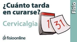 Cuánto tarda en curarse una CERVICALGIA o dolor de cuello
