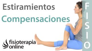 Estiramientos musculares y compensaciones