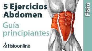 5 Ejercicios de Core | GUIA PARA PRINCIPIANTES