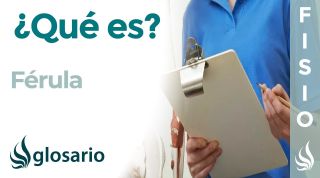 FÉRULA | Qué es, para qué se usa y funciones