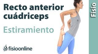 15.Estiramiento del cuádriceps. (con recto anterior).