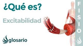 EXCITABILIDAD | Qué es, cómo se produce, que pasa cuándo el músculo no posee está propiedad