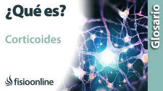 CORTOCOIDES | Qué es, cuál es su función, dónde se encuentran e importancia para el cuerpo