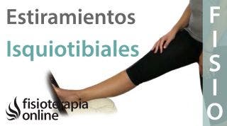 20.Estiramiento de isquiotibiales (unilateral).