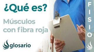 FIBRA ROJA | Qué es, en qué músculos se encuentra, características y función