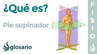 PIE SUPINADOR | Qué es, causas, síntomas, a quién afecta y tratamiento