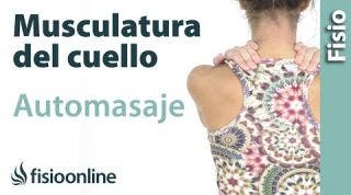 15.Auto-masaje cervical, de cuello, hombros y de trapecios.