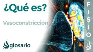 VASOCONSTRICCIÓN | Qué es, qué lo produce, cuál es su función e importancia