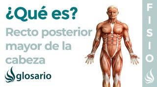 Músculo RECTO POSTERIOR MAYOR | Qué es, ubicación, origen, inserción, inervación y función