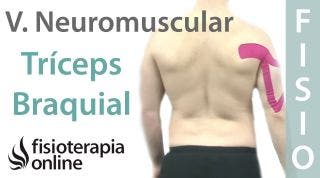 Cómo tonificar el tríceps braquial con vendaje neuromuscular