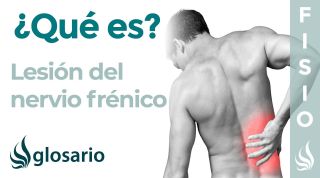 LESIÓN del NERVIO FRÉNICO | Qué es, qué estructuras afecta, síntomas, signos, causas y tratamiento