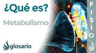 METABOLISMO | Qué es, cómo se produce, qué sistemas intervienes e importancia para el organismo