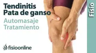 18. Auto-masaje de la tendinitis de la Pata de ganso