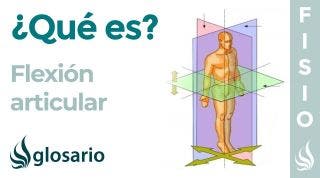 FLEXIÓN ARTICULAR | Qué es, qué partes del cuerpo realizan este movimiento y cómo se produce