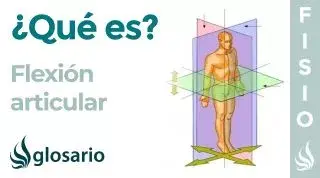 FLEXIÓN ARTICULAR | Qué es, qué partes del cuerpo realizan este movimiento y cómo se produce