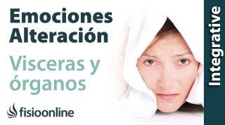 ¿Qué emociones alteran o enferman cada órgano y víscera?