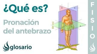 PRONACIÓN | Qué es, qué parte del cuerpo realiza este movimiento y cómo se produce