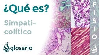 SIMPATICOLÍTICO | Qué es, medicamentos, mecanismo de acción y efectos