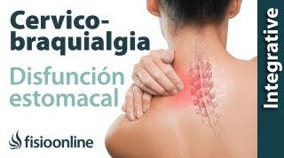 Cérvico-braquialgia Izquierda por disfunción de estomago. Plantas medicinales y remedios naturale