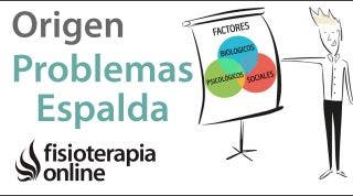 Origen multifactorial de los problemas de espalda, articulares y musculares