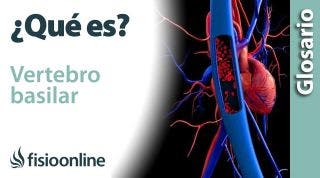 VERTEBRO BASILAR | Qué es, ubicación, recorrido, ramificaciones y lesiones
