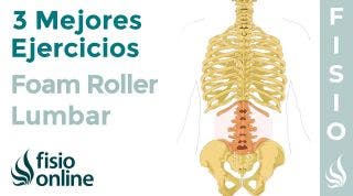 Los 3 mejores ejercicios con FOAM ROLLER para tu LUMBAR