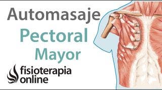 24.Automasaje para pectoral mayor.