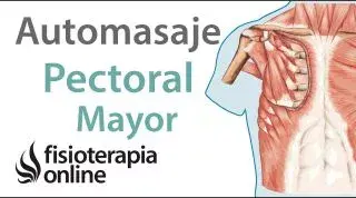 24.Automasaje para pectoral mayor.