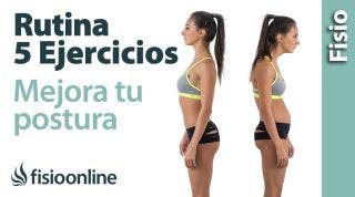 5 Ejercicios para mejorar la Postura | GUIA PARA PRINCIPIANTES