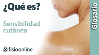 SENSIBILIDAD CUTÁNEA | Qué es, dónde se encuentra, cuál es su función e importancia