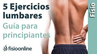 5 Ejercicios fáciles para Lumbares | GUIA PARA PRINCIPIANTES