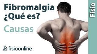 Fibromialgia  Una opinion sobre sus causas, tratamiento y solución