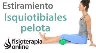 22.Estiramiento de isquiotibiales con pelota bajo la rodilla.