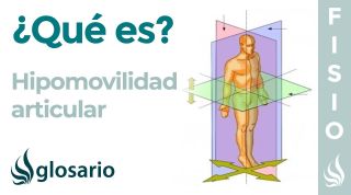 HIPOMOVILIDAD ARTICULAR | Qué es, causas, cómo detectarlo y tratamiento