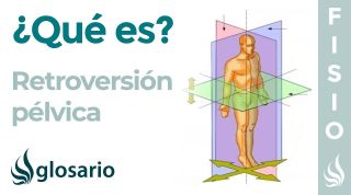 RETROVERSIÓN | Qué es, causas, qué estructuras están involucradas y a quién afecta