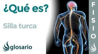 SILLA TURCA | Qué es, ubicación, qué estructura protege y lesiones
