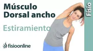 4.Estiramiento del músculo Dorsal ancho.