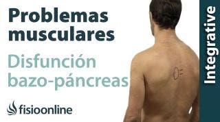 Bazo-Páncreas: problemas articulares y musculares que pueden provocar