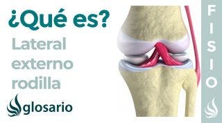 Ligamento LATERAL EXTERNO de la RODILLA | Qué es, ubicación, función y lesiones