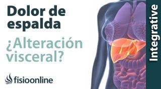 Tratamiento para dolor de espalda cervical y dorsal provocado por una alteración del estómago