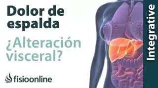 Tratamiento para dolor de espalda cervical y dorsal provocado por una alteración del estómago