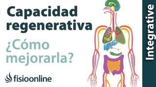 Cómo mejorar tu capacidad regenerativa desintoxicando tu cuerpo