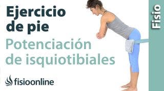 Ejercicio de potenciación excentrica para isquiotibiales (en pie)